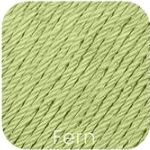 Fern